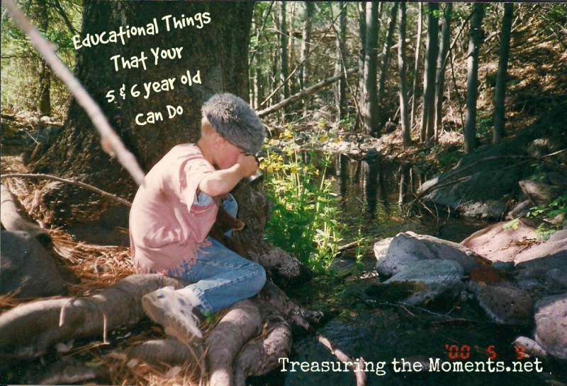 homeschooling young children