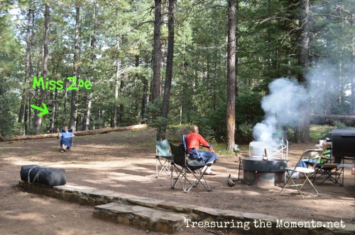 tresauring the moments.net