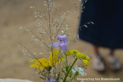 arizona wildflowers treasuring the moments.net