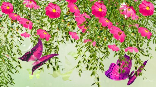 butterflies_blossoms_bright