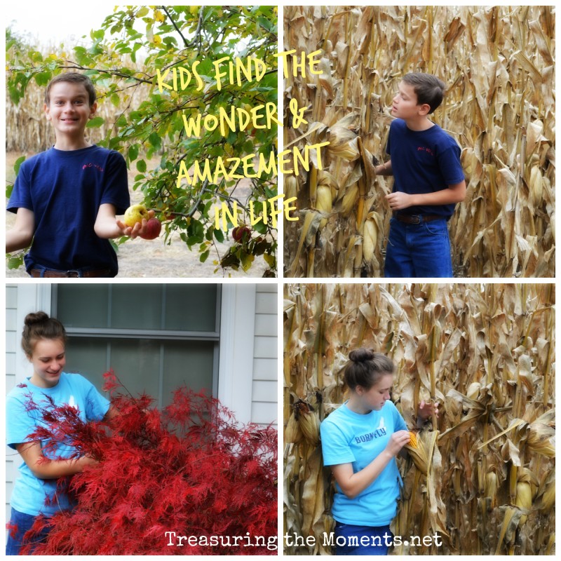 child wonder treasuring the moments.net