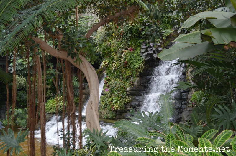 opryland hotel treasuring the moments.net