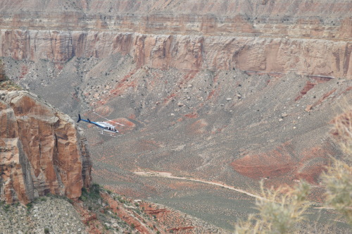 a havasupai adventure treasuring the moments.net