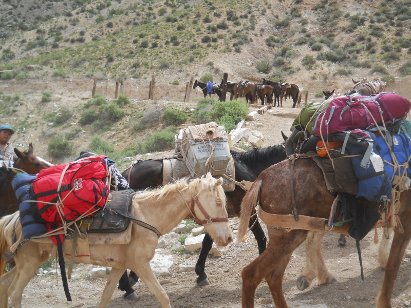 havasupai hike treasuring the moments.net