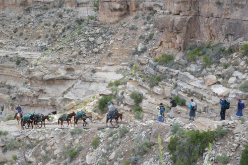 a havasupai adventure treasuring the moments.net