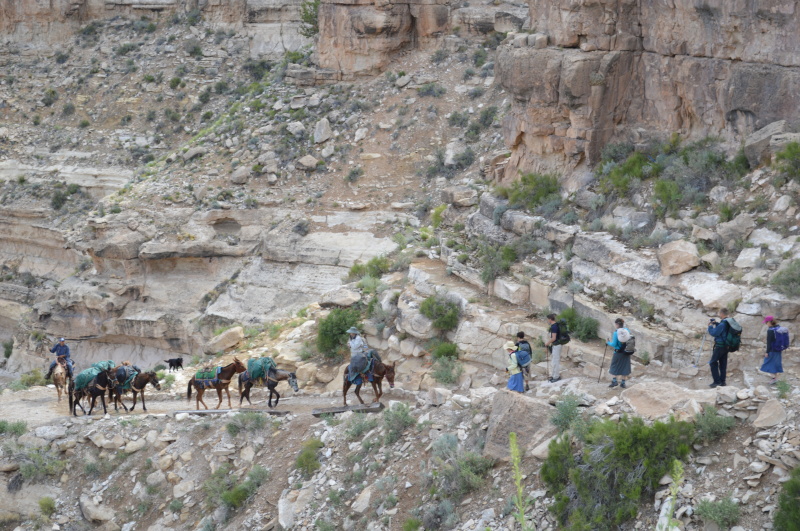 a havasupai adventure treasuring the moments.net