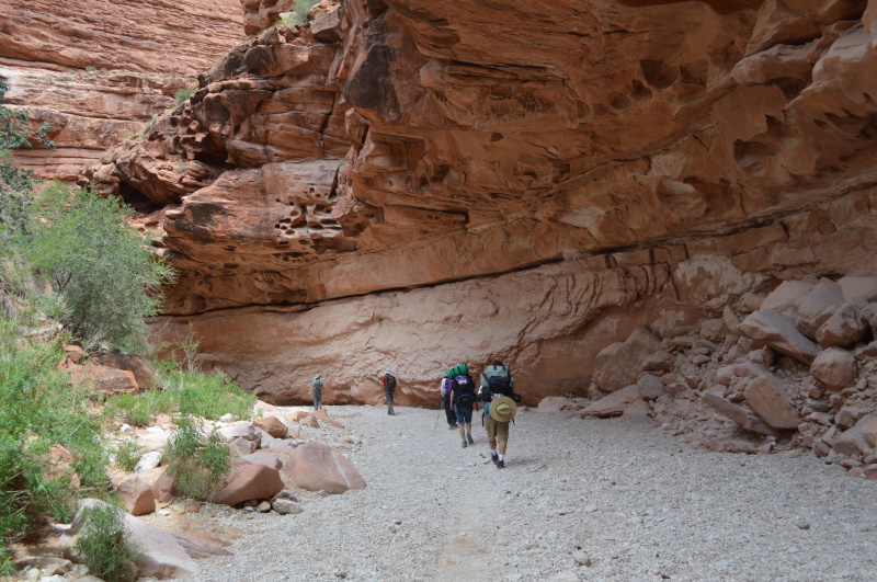 a havasupai adventure treasuring the moments.net