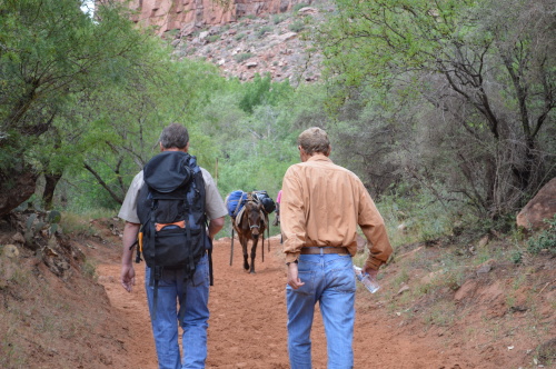 havasupai hike treasuring the moments.net