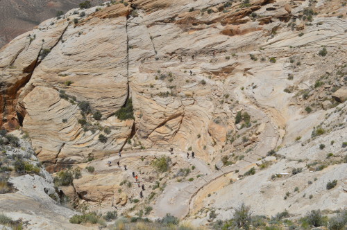 havasupai hike treasuring the moments.net