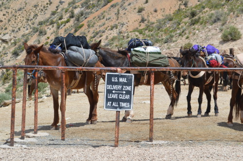 havasupai hike treasuring the moments.net