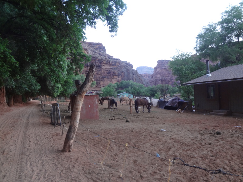 a havasupai adventure treasuring the moments.net