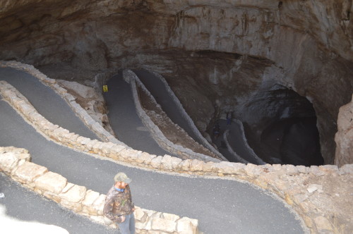 carlsbad caverns treasuring the moments.net