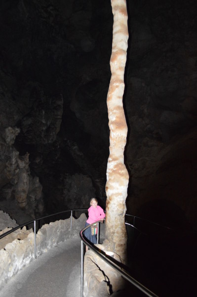 carlsbad caverns treasuring the moments.net