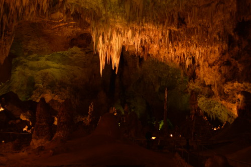 carslbad caverns treasuring the moments.net