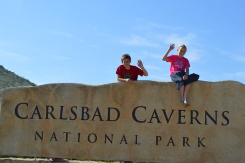 carslbad caverns treasuring the moments.net