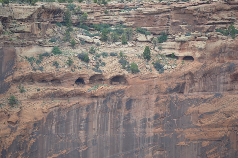 Canyon de Chelly Indian dwellings treasuringthemoments.net