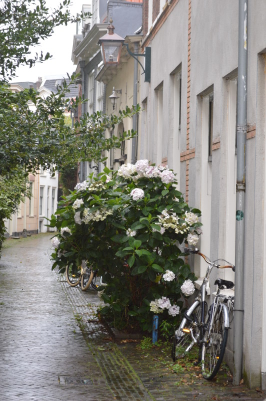 Haarlem, Netherlands