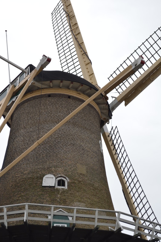 holland windmill
