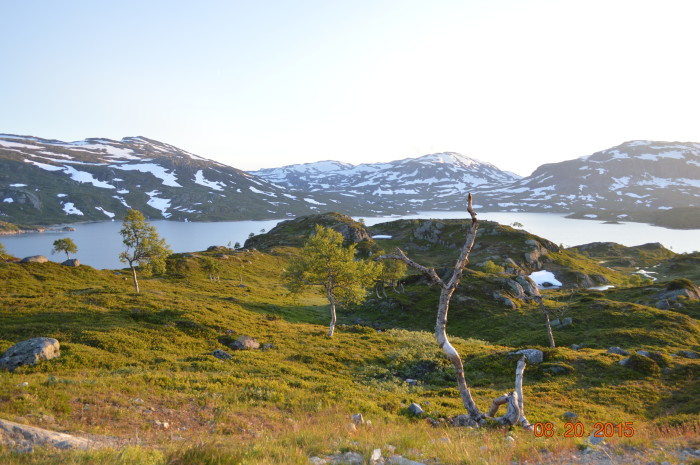 norway treasuring the moments.net