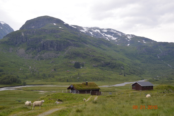 Norway treasuring the moments.net