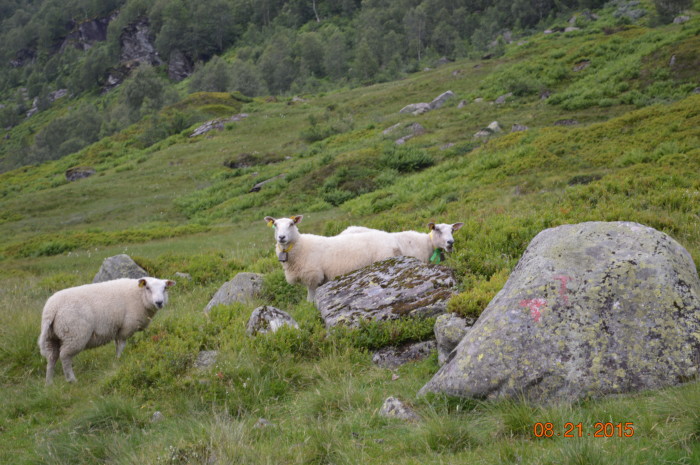 Norway treasuring the moments.net