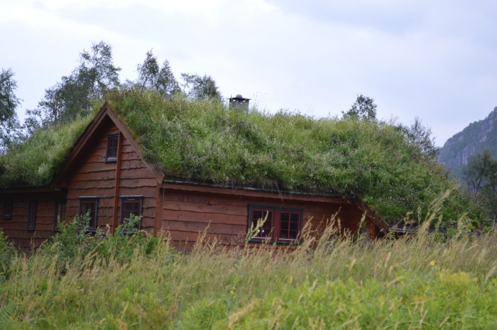sod roof norway treasuring the moments.net