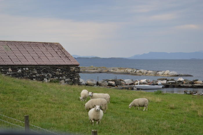 Norway treasuring the moments.net