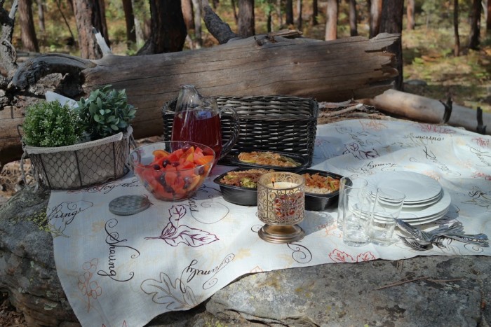 picnic treasuring the moments.net