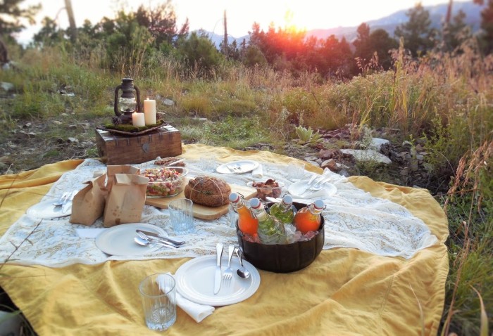 picnic treasuring the moments.net