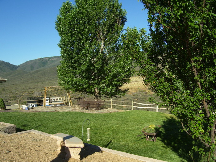 landscaping timbuck2
