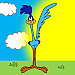 Roadrunner Stop!
