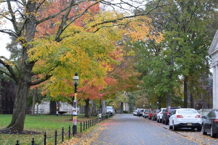 princeton university treasuringthemoments.net